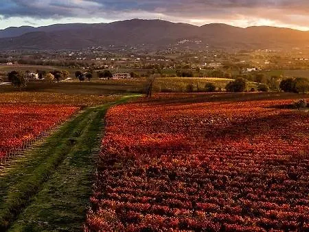 Appartamento La Dei Girasoli Monte Castello di Vibio